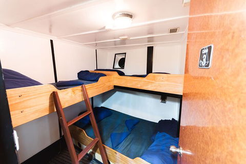 2 Night Whitsunday Islands Cruise On Atlantic Clipper From Airlie Beach - Tourism Gold Coast 1
