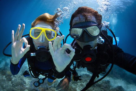 2 Night Whitsunday Islands Cruise On Atlantic Clipper From Airlie Beach - Tourism Gold Coast 4