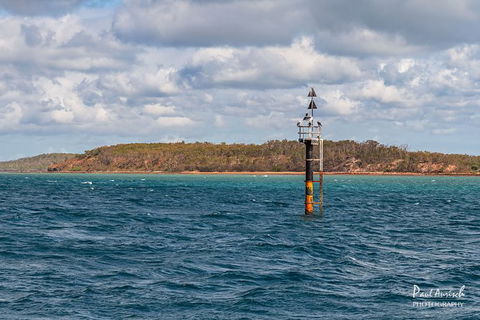 Sandy Straits Scenic & Wildlife Cruise - Gold Coast 6