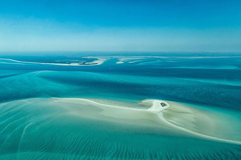 Sandy Straits Scenic & Wildlife Cruise - Gold Coast 5