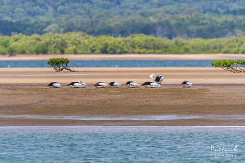Sandy Straits Scenic & Wildlife Cruise - Gold Coast 3