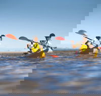 Kangaroo Island Self-Guided Kayaking on the Harriet River - Tourism Gold Coast