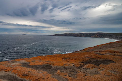 Kangaroo Island Luxury Small Group \'Flinders Chase Focus\' Full Day Tour - Tourism Gold Coast 2