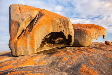 Kangaroo Island Luxury Small Group \'Flinders Chase Focus\' Full Day Tour - Tourism Gold Coast 1