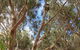 Kangaroo Island 4WD - Best Of KI In 2 Days - thumb 5