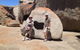 Kangaroo Island 4WD - Best Of KI In 2 Days - thumb 4