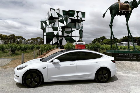 Adelaide Airport Arrival Transfer OR Tour In A Tesla Model3 EV - Tourism Gold Coast 3