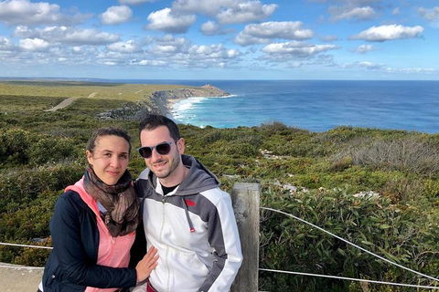 NEW TOUR - Flinders Chase Tour (Recovering From Fires) - Tourism Gold Coast 3