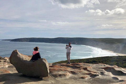 NEW TOUR - Flinders Chase Tour (Recovering From Fires) - Tourism Gold Coast 5