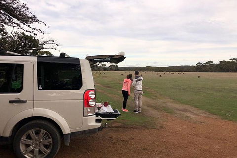 NEW TOUR - Flinders Chase Tour (Recovering From Fires) - Tourism Gold Coast 6