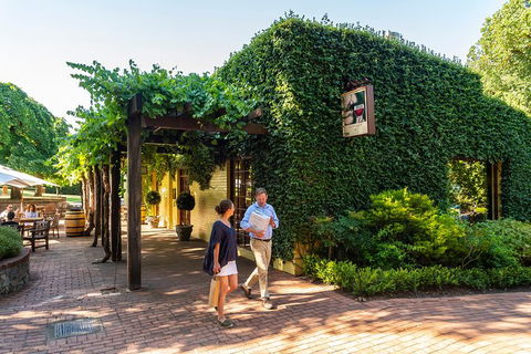 Yalumba Signature Tour - Gold Coast 3