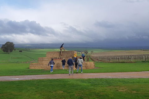 Private Wine Tour - Gold Coast 4