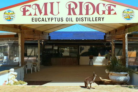 Full-Day Kangaroo Island Safari From Penneshaw - Tourism Gold Coast 3