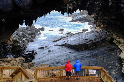 Full-Day Kangaroo Island Safari From Penneshaw - Tourism Gold Coast 1