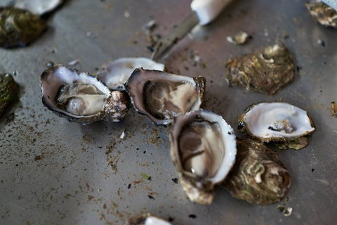 Fine Flavours - Full Day Kangaroo Island Food & Wine Tour - Tourism Gold Coast 10