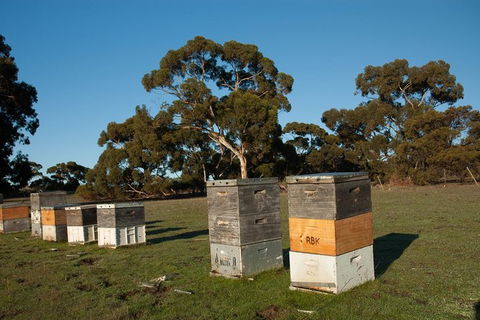 Fine Flavours - Full Day Kangaroo Island Food & Wine Tour - Tourism Gold Coast 5