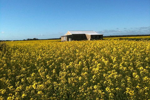 Fine Flavours - Full Day Kangaroo Island Food & Wine Tour - Tourism Gold Coast 11