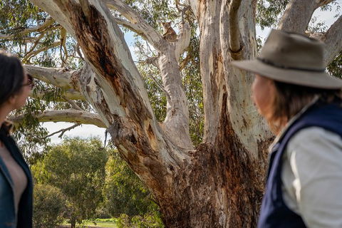 NEW TOUR - Kangaroo Island Road To Recovery Tour (1 Day/1 Night) - Tourism Gold Coast 2