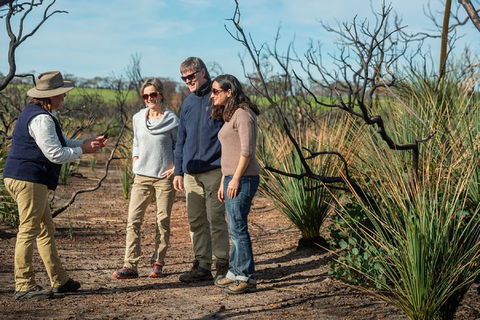 NEW TOUR - Kangaroo Island Road To Recovery Tour (1 Day/1 Night) - Tourism Gold Coast 0