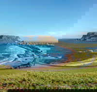 Cruise Ship Special from Burnie to Stanley and The Nut - Tourism Gold Coast