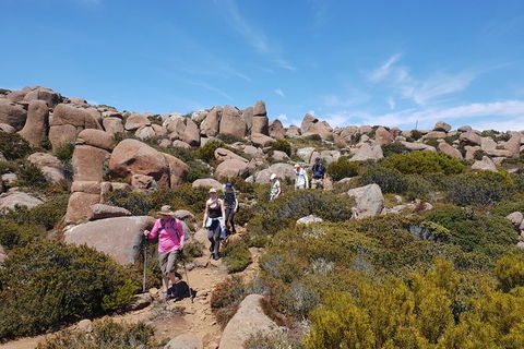 Alpine Loop - Tourism Gold Coast 2