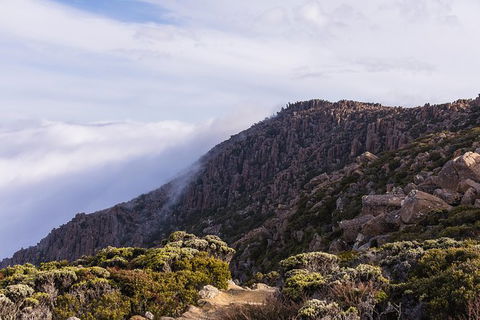 Alpine Loop - Tourism Gold Coast 3