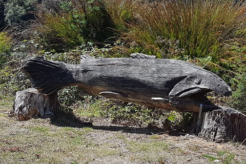 Cruise Ship Excursion: Gourmet Food & Wine - Tourism Gold Coast 10