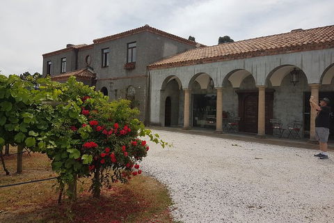 Cruise Ship Excursion: Gourmet Food & Wine - Tourism Gold Coast 18