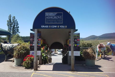 Cruise Ship Excursion: Gourmet Food & Wine - Tourism Gold Coast 8