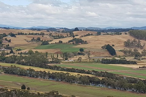 Cruise Ship Excursion: Gourmet Food & Wine - Tourism Gold Coast 6