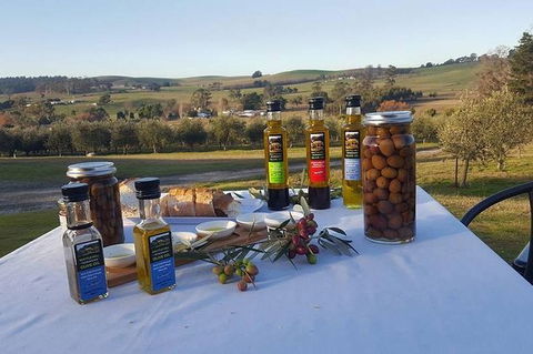 Cruise Ship Excursion: Gourmet Food & Wine - Tourism Gold Coast 17