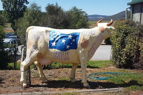 Cruise Ship Excursion: Gourmet Food & Wine - Tourism Gold Coast 12