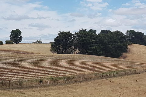 Cruise Ship Excursion: Gourmet Food & Wine - Tourism Gold Coast 9