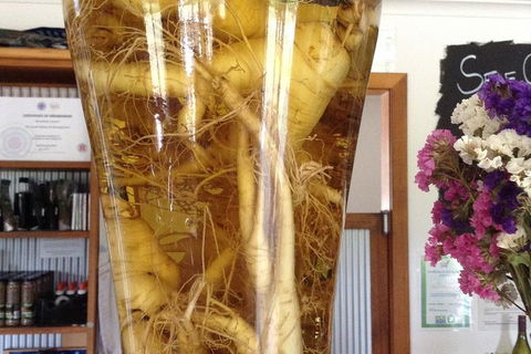 Cruise Ship Excursion: Gourmet Food & Wine - Tourism Gold Coast 14