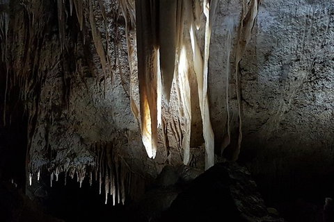 Shore Excursion: Coast, Caves And Wildlife Park - 8 Hour Tour - Tourism Gold Coast 10