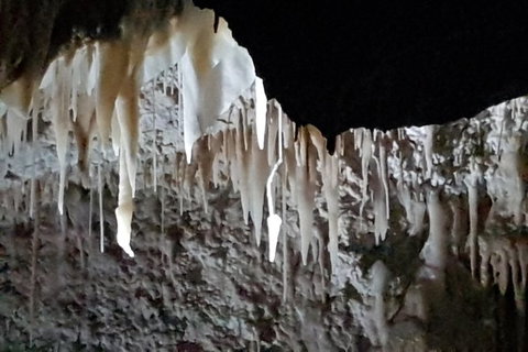 Shore Excursion: Coast, Caves And Wildlife Park - 8 Hour Tour - Tourism Gold Coast 21
