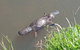 Shore Excursion: Coast, Caves And Wildlife Park - 8 Hour Tour - thumb 1