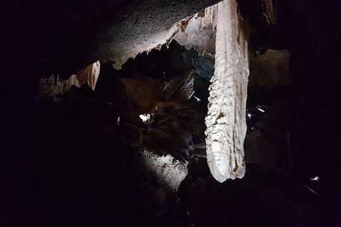Shore Excursion: Coast, Caves And Wildlife Park - 8 Hour Tour - Tourism Gold Coast 12