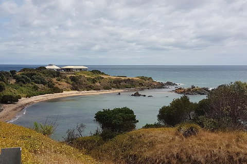 Shore Excursion: Coast, Caves And Wildlife Park - 8 Hour Tour - Tourism Gold Coast 0