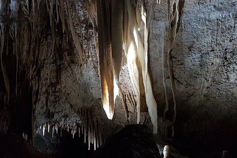 Shore Excursion: Coast, Caves And Wildlife Park - 8 Hour Tour - Tourism Gold Coast 7