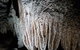 Shore Excursion: Coast, Caves And Wildlife Park - 8 Hour Tour - thumb 13