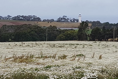 Cruise Ship Excursion: NW Tassie Coastal Explorer - Tourism Gold Coast 14