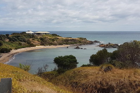 Cruise Ship Excursion: NW Tassie Coastal Explorer - Tourism Gold Coast 13