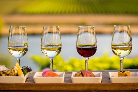 Launceston Wine & Sightseeing Tours - Gold Coast 4