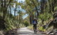 Self-Guided Gourmet Culinary Cycling Day Tour From Beechworth - thumb 2