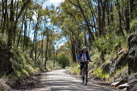 Self-Guided Gourmet Culinary Cycling Day Tour From Beechworth - Gold Coast 2