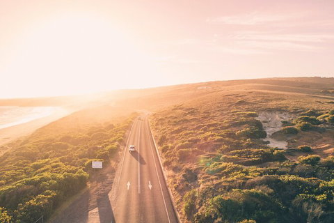 LGBT+ Friendly 2 Day Private Great Ocean Road Tour - Tourism Gold Coast 1