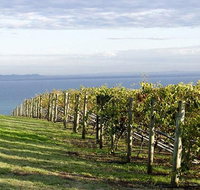 Winery Tours  Mornington/Yarra Valley/Bellarine/Macedon Ranges - Up to 11 Pax - Tourism Gold Coast