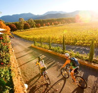 Feathertop Winery Pedal and Picnic in the Vines - Tourism Gold Coast