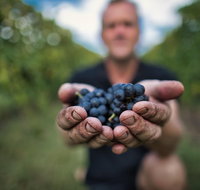 Feathertop Winery Behind the Wines and Vines - Tourism Gold Coast